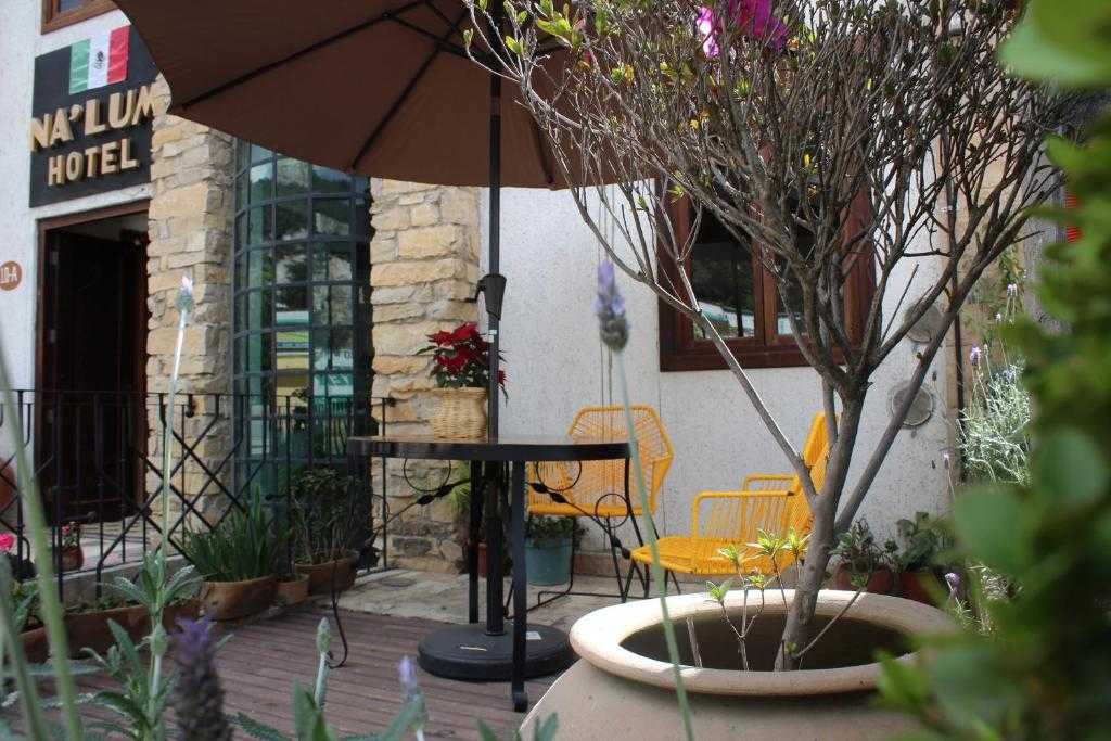Courtyard garden and outdoor seating at Hotel Na´Lum